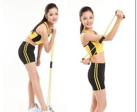 易威斯堡塑胸拉力器 價格、廠家與選購指南